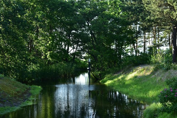 What UK wellness trends are effective for maintaining a slim figure?