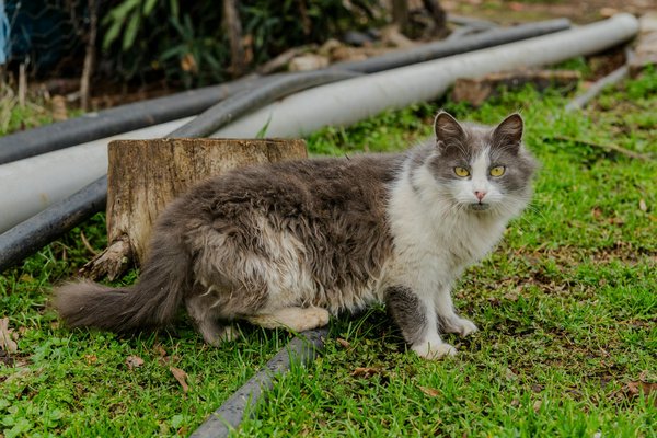 What Are the Latest Advancements Shaping the Future of UK Health News?